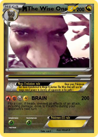 Pokemon The Wise One