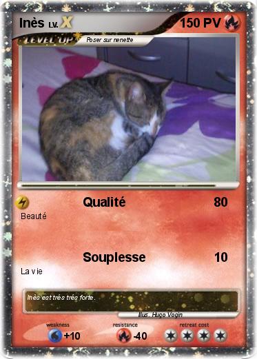 Pokemon Inès
