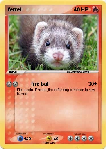 Pokemon ferret