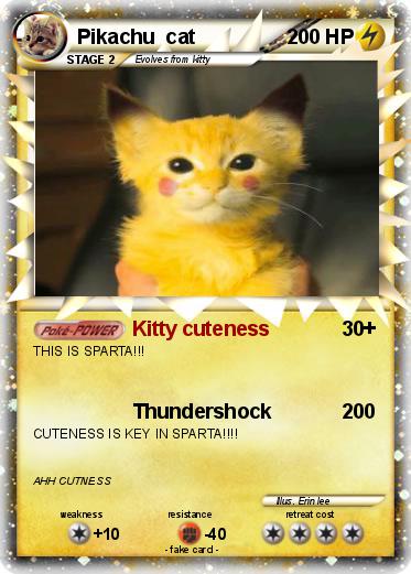 Pokemon Pikachu  cat