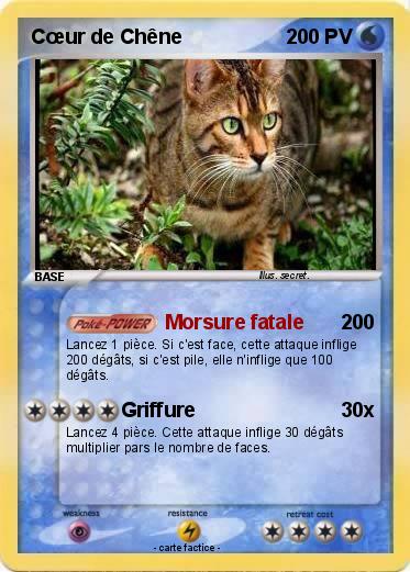 Pokemon Cœur de Chêne