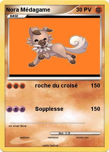 Pokemon Nora Médagame