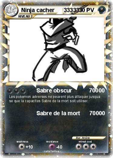 Pokemon Ninja cacher      333333