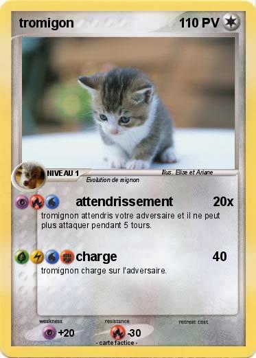 Pokemon tromigon