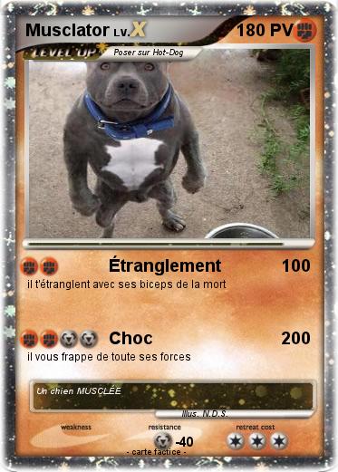 Pokemon Musclator