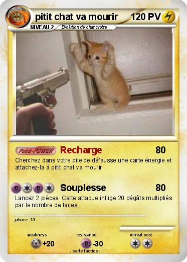 Pokemon pitit chat va mourir