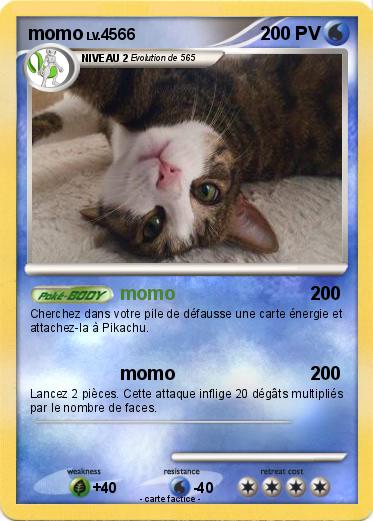 Pokemon momo