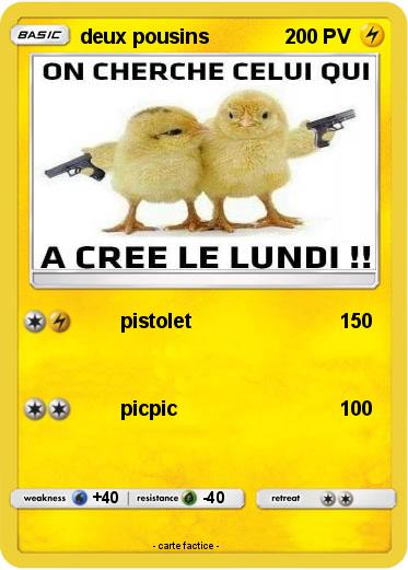 Pokemon deux pousins