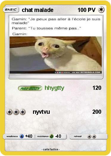 Pokemon chat malade
