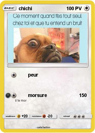 Pokemon chichi