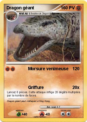 Pokemon Dragon géant