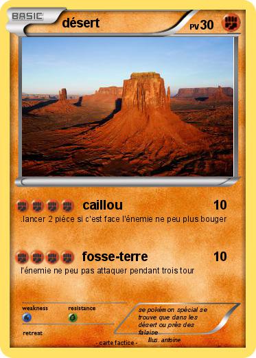 Pokemon désert