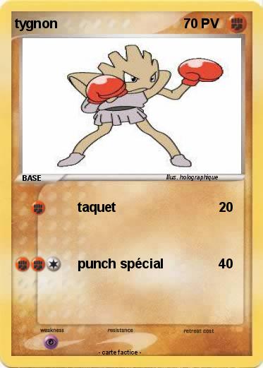 Pokemon tygnon