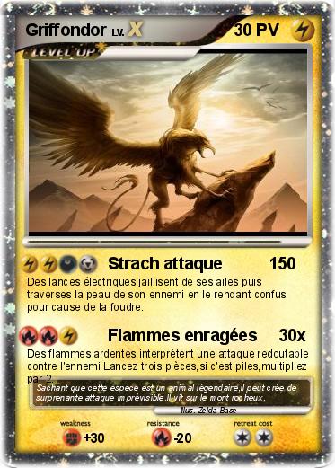 Pokemon Griffondor