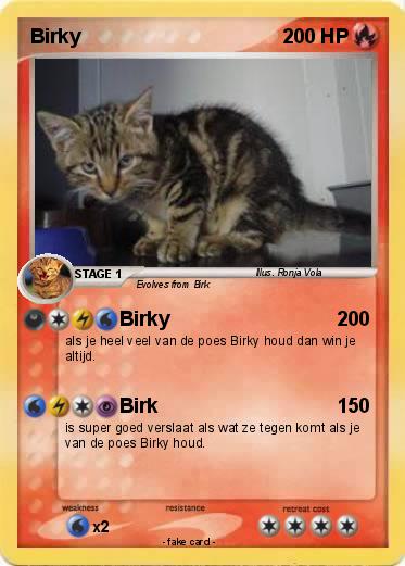 Pokemon Birky