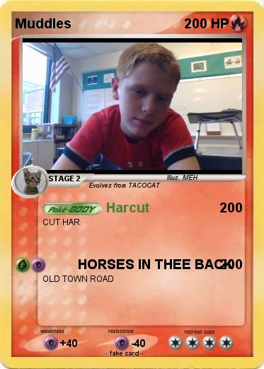Pokemon Muddles