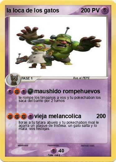 Pokemon la loca de los gatos