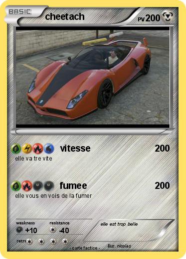 Pokemon cheetach