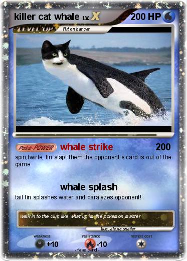 Pokemon killer cat whale