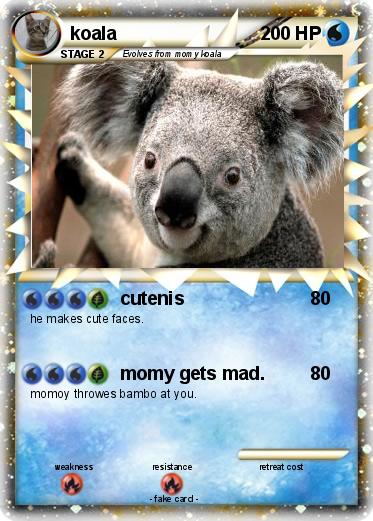 Pokemon koala