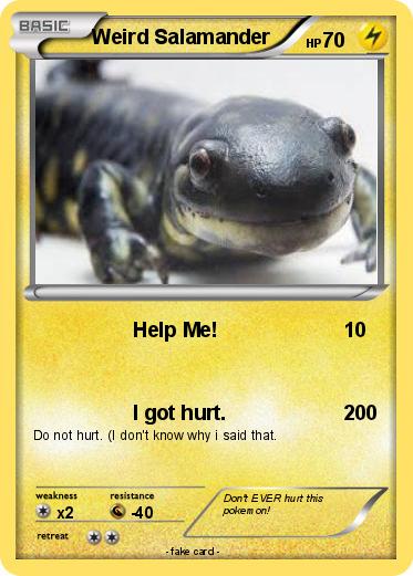Pokemon Weird Salamander
