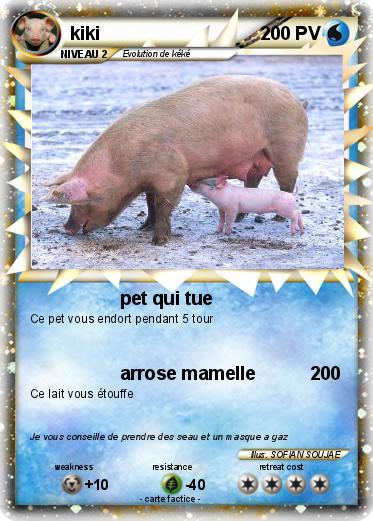 Pokemon kiki