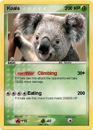 Pokemon Koala