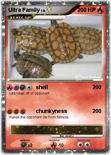 Pokemon Ultra Family