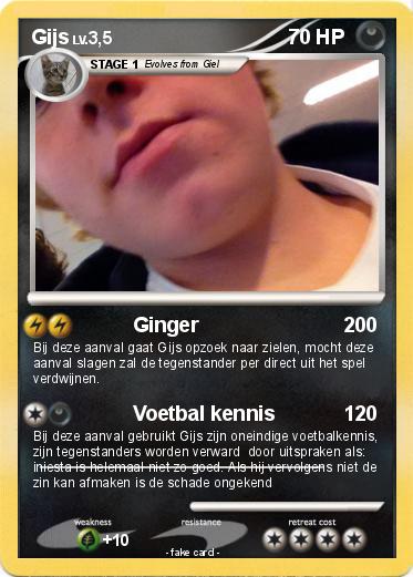 Pokemon Gijs