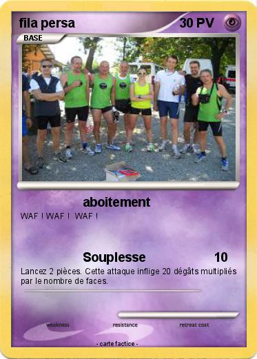 Pokemon fila persa