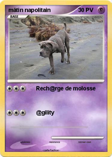 Pokemon mâtin napolitain