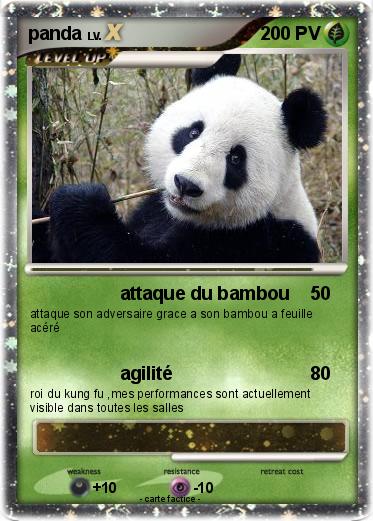 Pokemon panda
