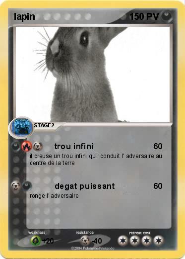 Pokemon lapin