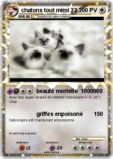 Pokemon chatons tout mimi 22