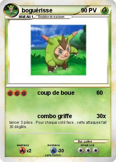 Pokemon boguérisse