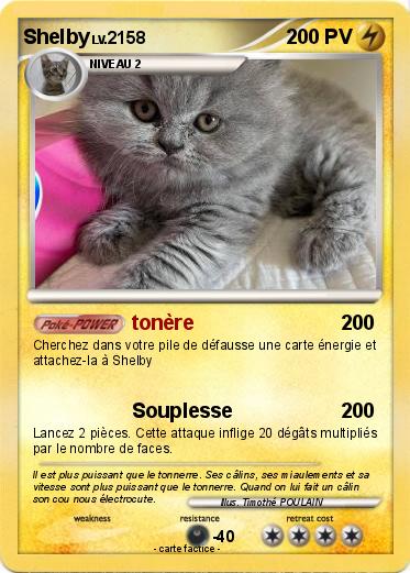 Pokemon Shelby