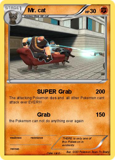 Pokemon Mr. cat