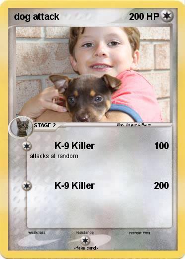 Pokemon dog attack