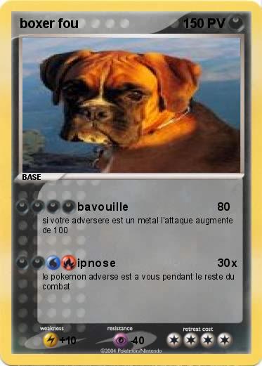 Pokemon boxer fou