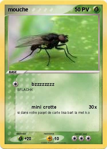 Pokemon mouche