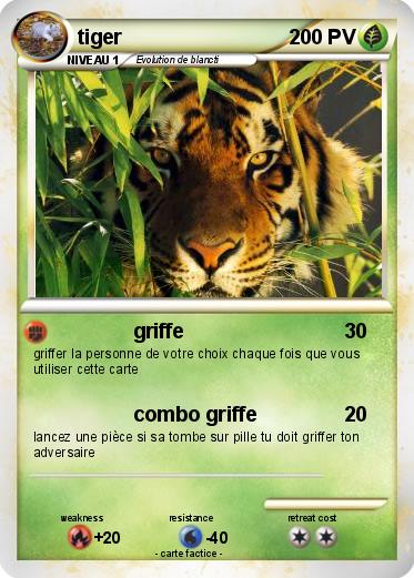Pokemon tiger