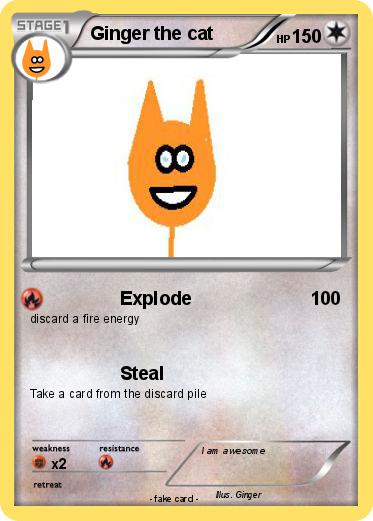 Pokemon Ginger the cat