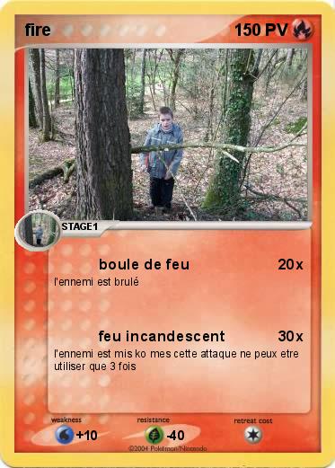 Pokemon fire