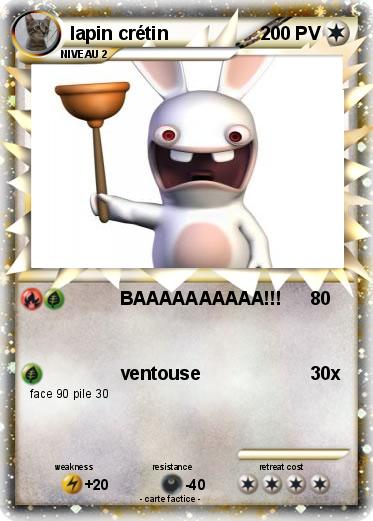 Pokemon lapin crétin