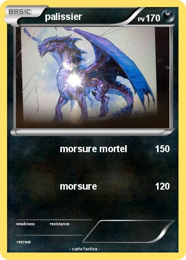 Pokemon palissier