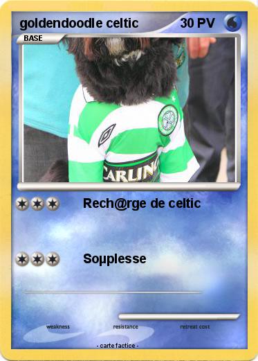 Pokemon goldendoodle celtic