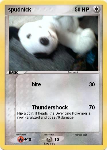 Pokemon spudnick