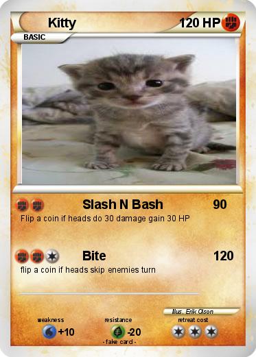 Pokemon Kitty