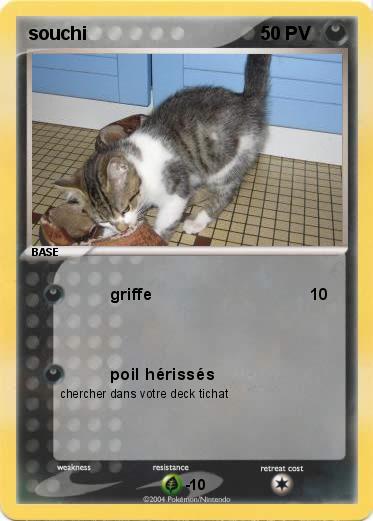 Pokemon souchi