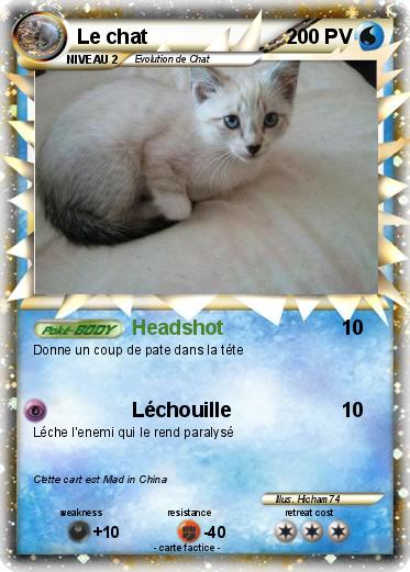 Pokemon Le chat